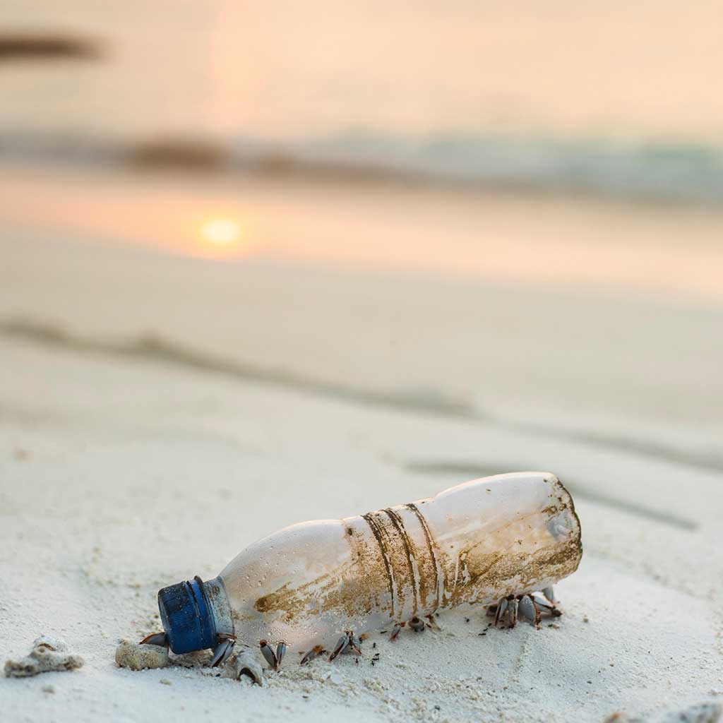 A plastic bottle laying discarded on a beach